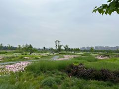 -汉长安城未央宫国家考古遗址公园