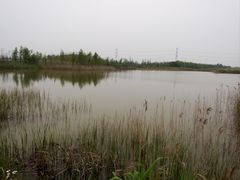 -上海海湾国家森林公园