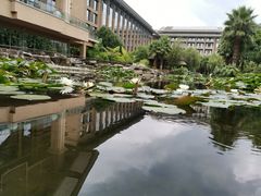 -昆明洲际酒店