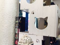 海妖酒吧-Sirena海妖日咖夜酒