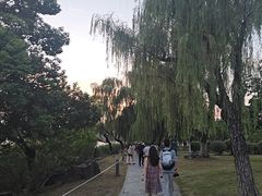 -金鸡湖景区