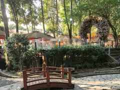 -二荆条·蜀鲜汇城市森林火锅