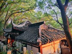 -上海佘山国家森林公园天马山园