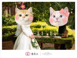 -金夫人婚纱摄影(总店)