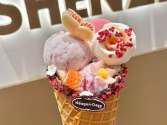 -哈根达斯(深圳海岸城店)