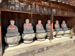 -医王山·飞騨国分寺