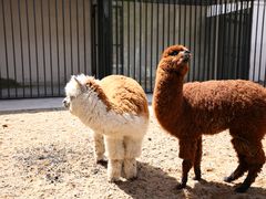 -沈阳市大东区海蓝花语幼儿园