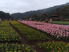 -广州市石门国家森林公园