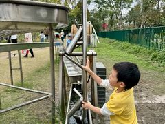 -前小桔亲子创意农场·草莓采摘·露营烧烤