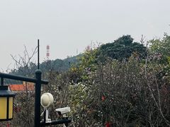 -小南山公园