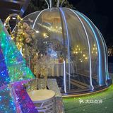 梦幻水晶球🔮内就餐是什么体验❓