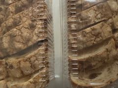 -BreadTalk面包新语·烘焙蛋糕(高德置地春广场店)