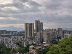 -福道
