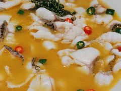 -青花椒花椒鱼(合生汇店)