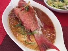 毛里求斯小四川饭店-毛里求斯小四川餐厅总店