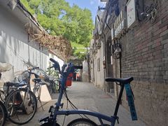-北京国子监胡同