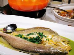 烧椒汁野生大黄鱼-飶香居(省博物馆店)