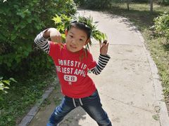 -长白岛森林公园