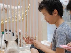 -藏猫猫咖啡主题馆(中央大道店)