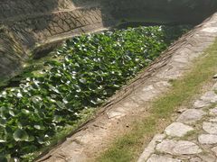 -菊花台公园