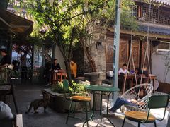 -喵屿·大理花园猫咖