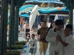 -海合安成都极地海洋公园