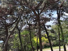 -燕窝岭