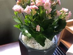 -秦美花卉(天朗·莱茵小城2期店)