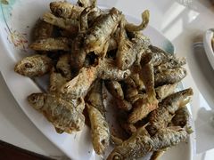 -途肴·老农饭庄(百里峡店)
