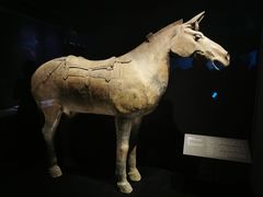 -陕西历史博物馆