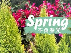 -重庆园博园