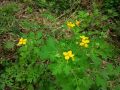 -山西通天峡景区