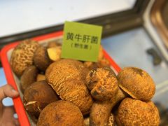 -菌海森林·非遗野生菌火锅(西山区滇池路摩根道店)