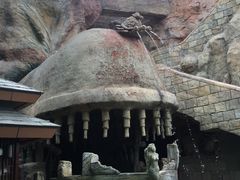 -新加坡水上探险乐园