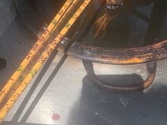 -护国法轮寺