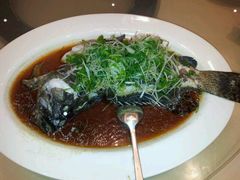 清蒸花眉斑-富嘉阁(嘉里中心店)