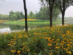 -东郊湿地公园