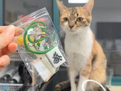 -稻荷日麻社