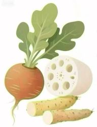 -雅曼妮spa美容养生