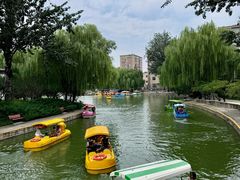-团结湖公园