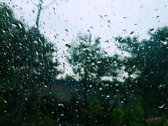 -丁香湖公园