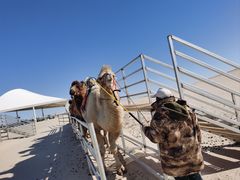 -库伦旗银沙湾旅游景区