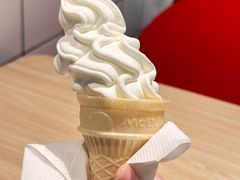 -麦当劳(红旗路店)