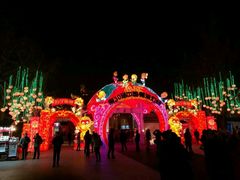 -水西门南京桂花盐水鸭