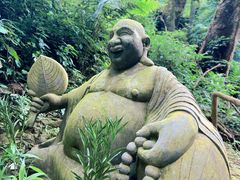 -莫里热带雨林景区