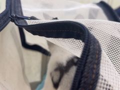 -全心全意连锁动物医院·微创中心·内科急重症·心脏专科(丰管路店)