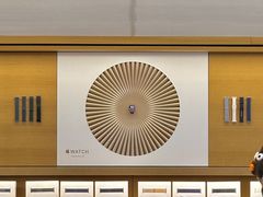 -Apple零售店(济南恒隆广场店)