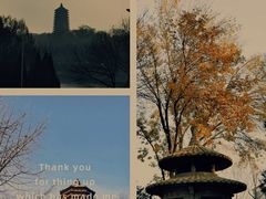 -玲珑塔公园