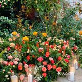 9月的亲友大聚🍊趴体