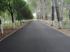 -东郊湿地公园
